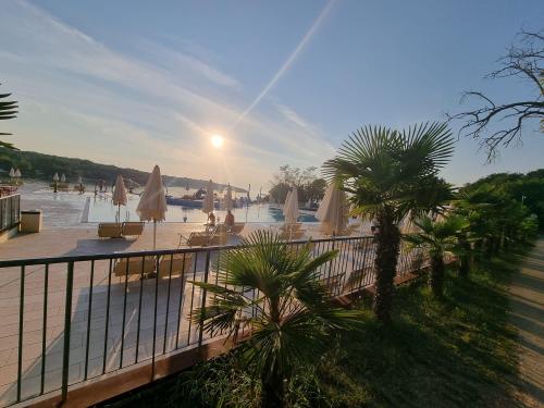 campery asone - WhatsApp Image 2021-11-04 at 13.11.27 (2)